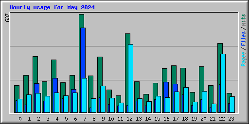 Hourly usage for May 2024