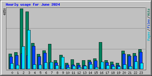 Hourly usage for June 2024