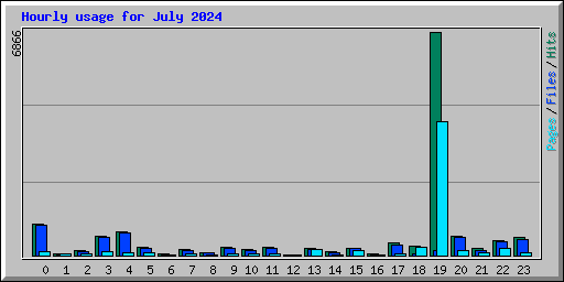 Hourly usage for July 2024